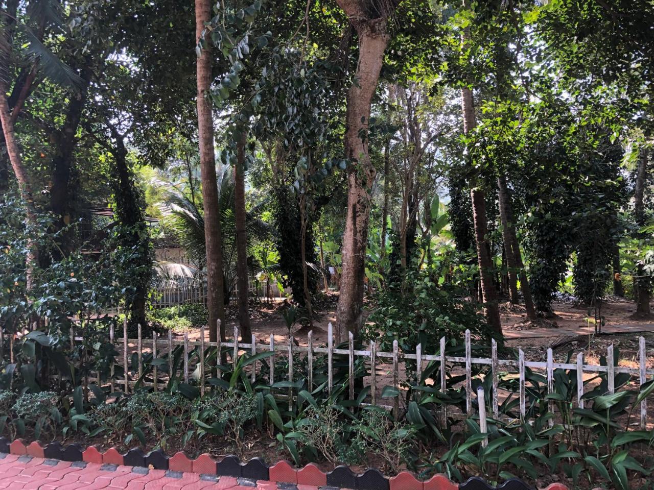 Ayuryogashram Heritage Thrissur Εξωτερικό φωτογραφία